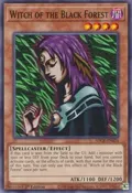Witch of the Black Forest SDCK-EN024