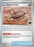 Antique Dome Fossil #152/165