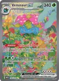 Venusaur ex #198/165