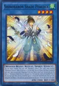 Shinobaron Shade Peacock AGOV-EN029