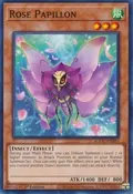 Rose Papillon AGOV-EN093