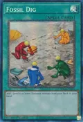 Fossil Dig (PCR) RA01-EN053