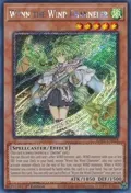 Wynn the Wind Channeler (Platinum Secret Rare) RA01-EN018