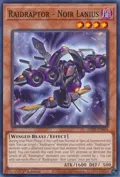 Raidraptor - Noir Lanius PHNI-EN004