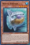 White Sunfish PHNI-EN006
