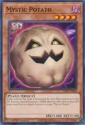 Mystic Potato PHNI-EN098