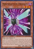 Hibernation Dragon BLC1-EN113