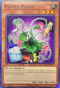 Puppet Plant OP24-EN016