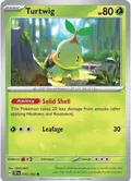Turtwig #010/162