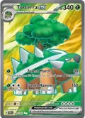 Torterra ex #185/162