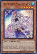Selettrice Vaalmonica LEDE-EN022