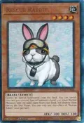 Rescue Rabbit (PUR) RA02-EN008