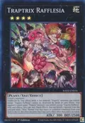 Traptrix Rafflesia RA02-EN034
