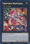 Traptrix Rafflesia (Secret Rare) RA02-EN034