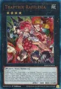 Traptrix Rafflesia (PUR) RA02-EN034