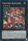 Traptrix Rafflesia (PCR) RA02-EN034