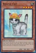Rescue Cat RA02-EN001