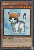 Rescue Cat (PCR) RA02-EN001