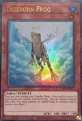 Treeborn Frog LART-EN073