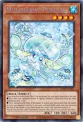 Mulcharmy Purulia INFO-EN027