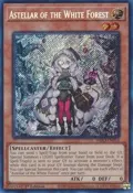 Astellar of the White Forest INFO-EN013