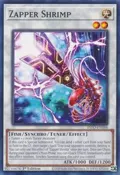 Zapper Shrimp INFO-EN088