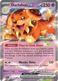Dachsbun ex #067/142