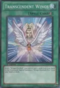 Transcendent Wings LCGX-EN079