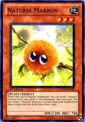 Naturia Marron PHSW-EN029