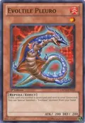 Evoltile Pleuro ORCS-EN025