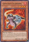 Evoltile Casinerio ORCS-EN026