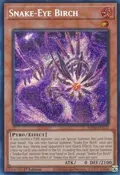 Snake-Eye Birch MP24-EN112