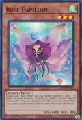 Rose Papillon MP24-EN250