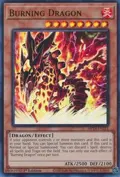 Burning Dragon MP24-EN251
