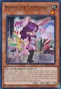 Bunny Ear Enthusiast MP24-EN343