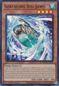 Surfacing Big Jaws ROTA-EN001