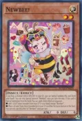 Newbee! ROTA-EN029