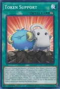 Token Support ROTA-EN067
