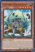 Supply Soldier of the Indestructible Insects ROTA-EN081