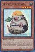 Rescue Hedgehog ROTA-EN097