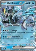 Black Kyurem ex #048/191