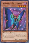 Morpho Butterspy GAOV-EN012