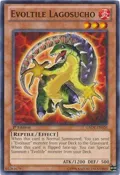 Evoltile Lagosucho GAOV-EN026