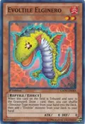 Evoltile Elginero GAOV-EN083