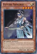 Future Samurai SDWA-EN013