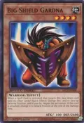 Big Shield Gardna SBC2-ENA08