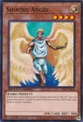 Shining Angel SBC2-ENI10