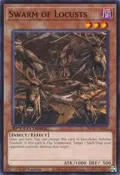 Swarm of Locusts SBC2-ENG07