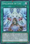Spellbook of Life REDU-EN059