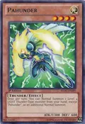 Pahunder REDU-EN095